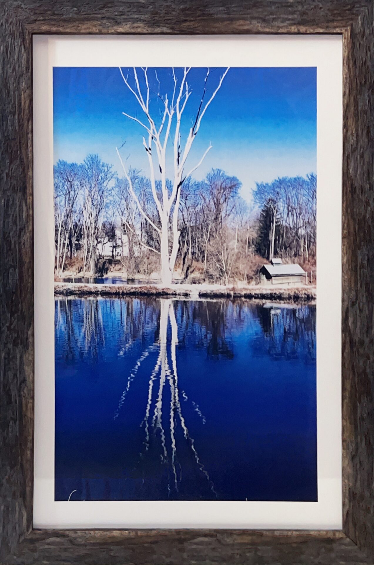 Kevin Friend - Nature 3