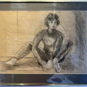 Judy Gaiser - Agile Model