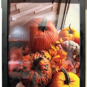 Andy Brooks - Pumpkin Parade