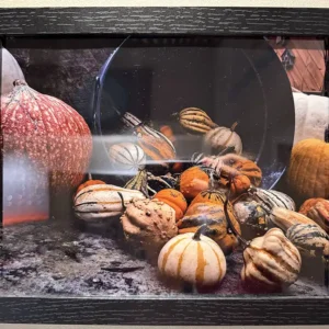 Andy Brooks - Gourd cornucopia