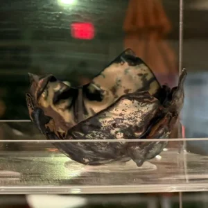 Brian Harvey - fold formed vessel 3