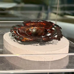 Brian Harvey - small dish 3