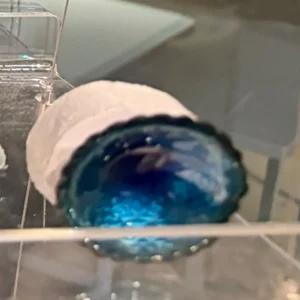 Brian Harvey - small dish 5