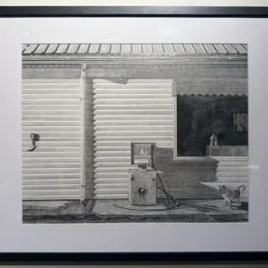 Charles Szabla - Gas Station Cat