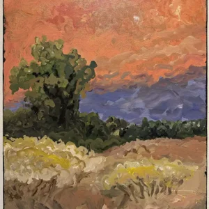 Bill Krauss - MY IMPRESSION